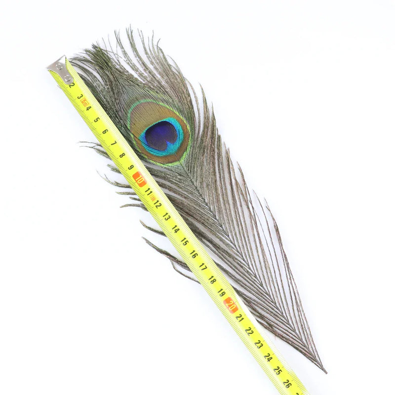 10/20/50PCS Natural Big Eyes Peacock Feathers 25-65CM for Wedding Home Table Center Vase Decoration Accessories Crafts Plume