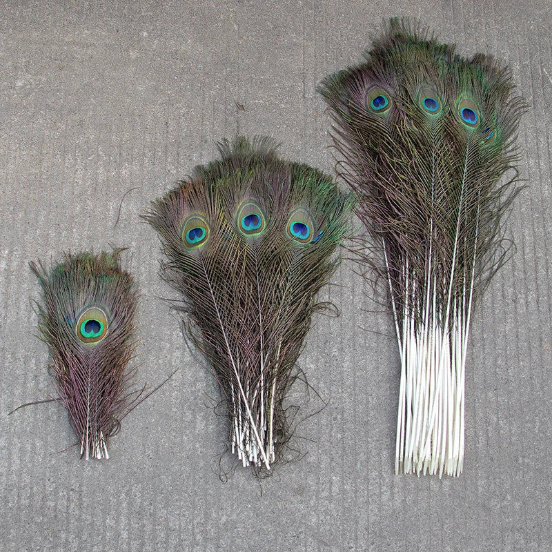 10/20/50PCS Natural Big Eyes Peacock Feathers 25-65CM for Wedding Home Table Center Vase Decoration Accessories Crafts Plume