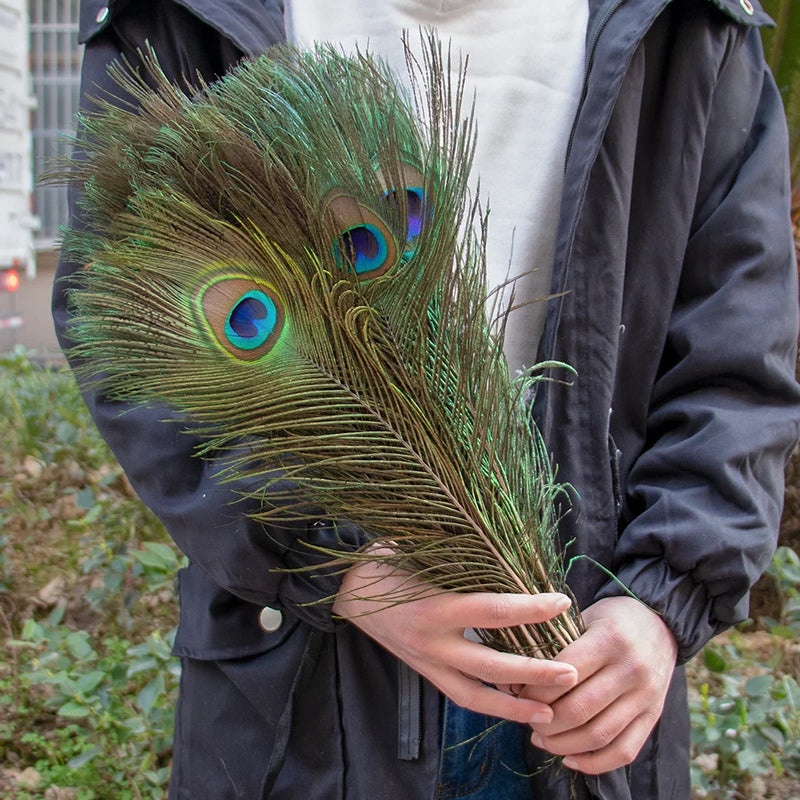 10/20/50PCS Natural Big Eyes Peacock Feathers 25-65CM for Wedding Home Table Center Vase Decoration Accessories Crafts Plume